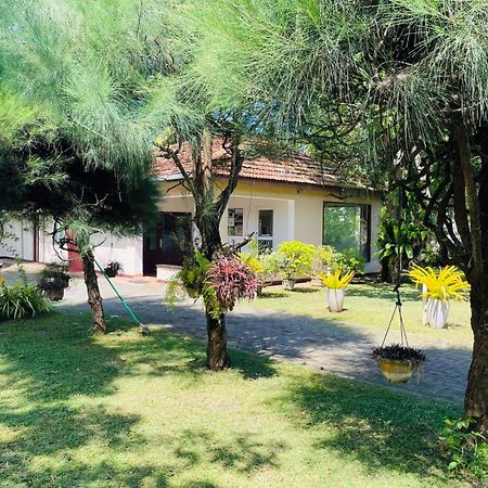 The Beez Hotel Negombo Exterior photo