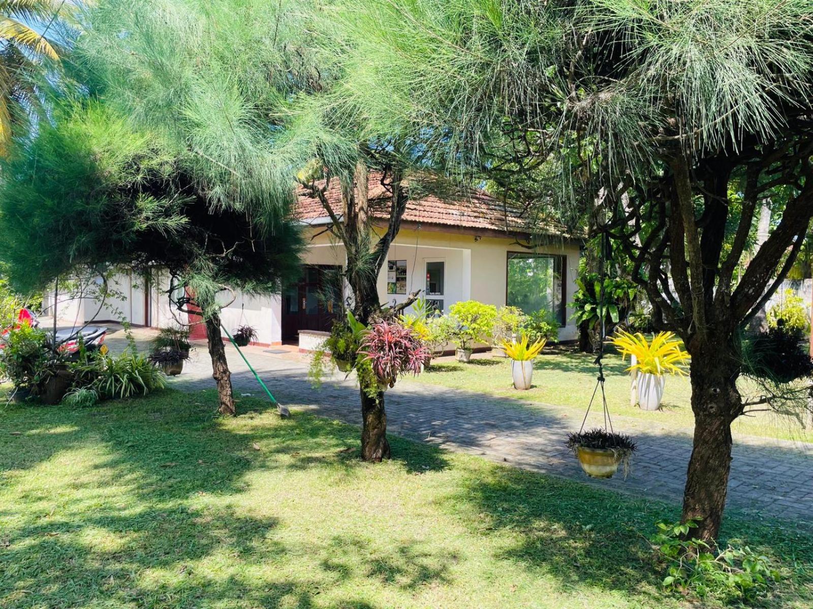 The Beez Hotel Negombo Exterior photo