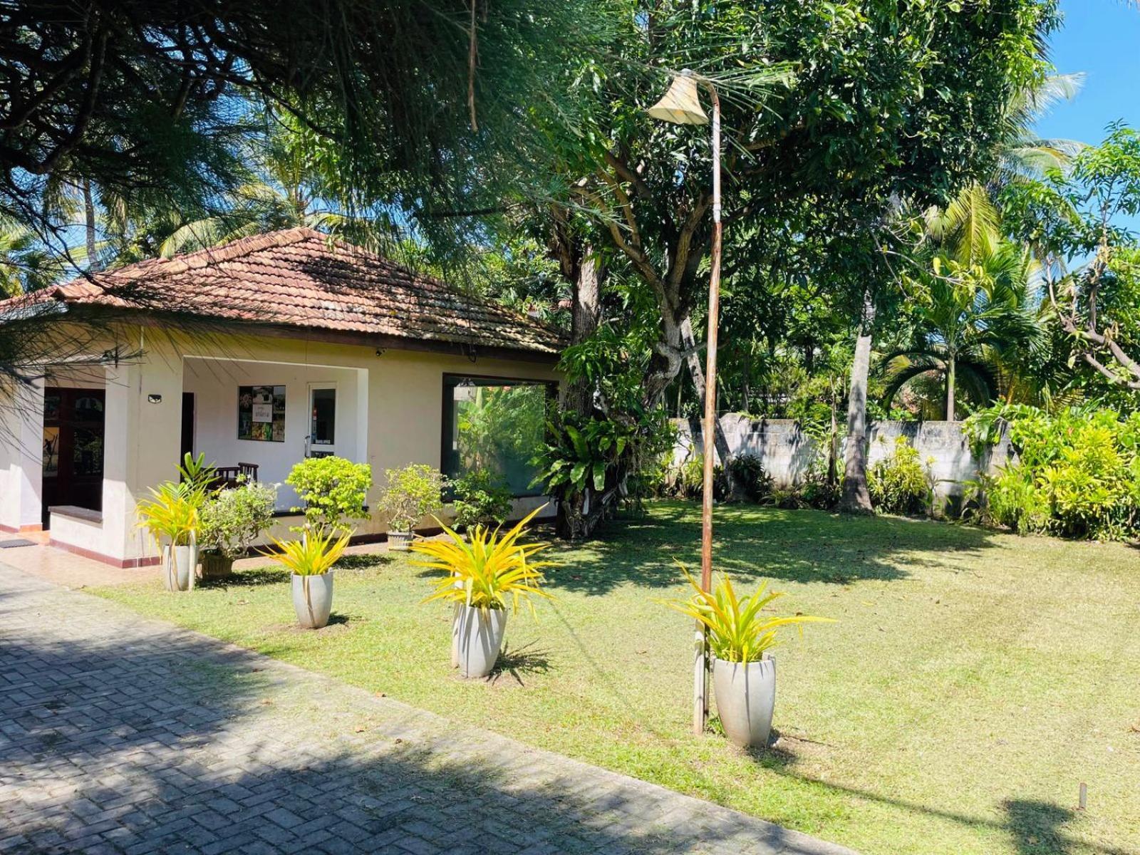 The Beez Hotel Negombo Exterior photo